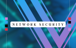 Network security